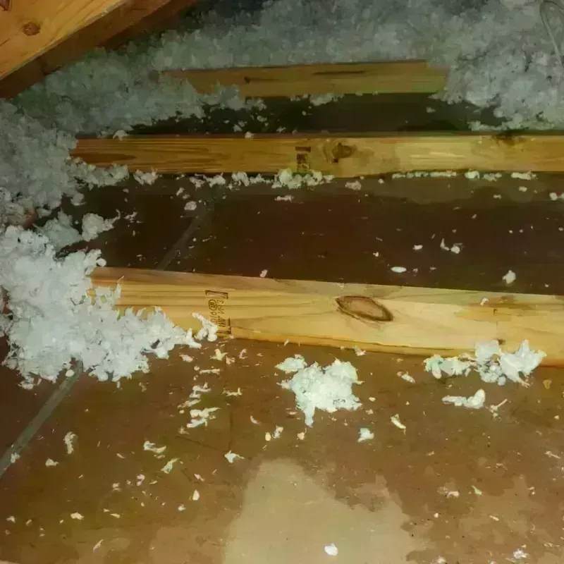 Attic Water Damage in Ainsworth, NE